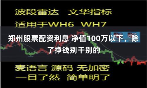 郑州股票配资利息 净值100万以下，除了挣钱别干别的