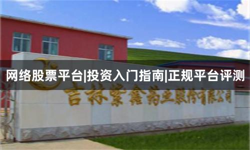 网络股票平台|投资入门指南|正规平台评测