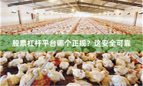 股票杠杆平台哪个正规?这安全可靠