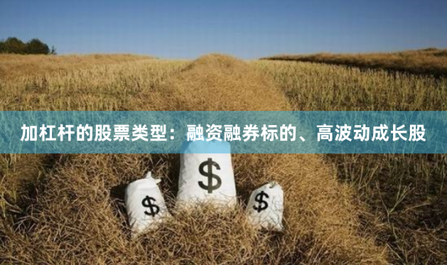 加杠杆的股票类型：融资融券标的、高波动成长股